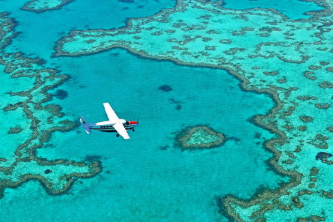 Reef And Island Scenic Flight From Airlie Beach - Accommodation Bookings 11