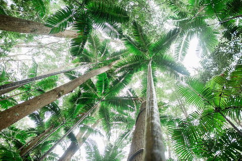All-Inclusive 2-Day Fraser Island Tour - Accommodation Bookings 8