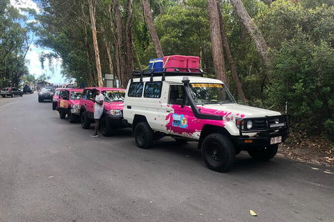 2-Day Fraser Island 4WD Tag-Along Tour At Beach House From Hervey Bay - Accommodation Bookings 6