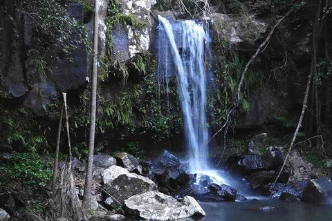 You Choose The Tour: Brisbane Private Chauffeur Driven Personal Tour - Accommodation Bookings 0