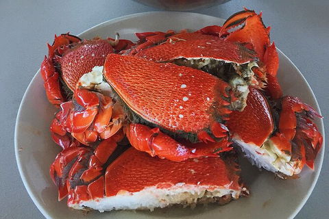 Crab Trip From Gold Coast - Accommodation Bookings 28