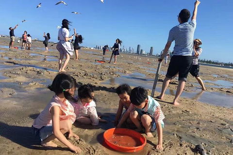Crab Trip From Gold Coast - Accommodation Bookings 32