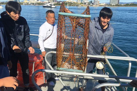 Crab Trip From Gold Coast - Accommodation Bookings 35
