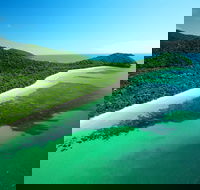 Cape Tribulation Mossman Gorge and Daintree Rainforest Day Trip from Cairns or Port Douglas - Accommodation Bookings
