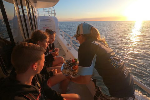 Hervey Bay Whale Watching Experience - Accommodation Bookings 15
