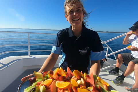 Hervey Bay Whale Watching Experience - Accommodation Bookings 5
