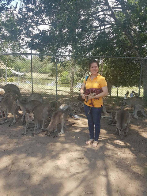 Lone Pine Koala Sanctuary Admission With Brisbane River Cruise - Accommodation Bookings 17
