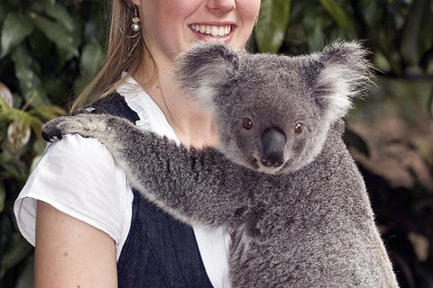 Lone Pine Koala Sanctuary Admission With Brisbane River Cruise - Accommodation Bookings 1