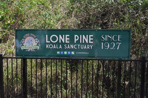 Lone Pine Koala Sanctuary Admission With Brisbane River Cruise - Accommodation Bookings 7