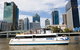 Lone Pine Koala Sanctuary Admission With Brisbane River Cruise - thumb 26