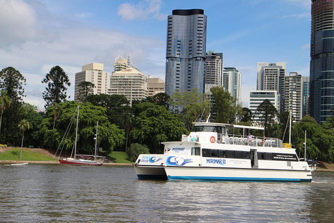 Lone Pine Koala Sanctuary Admission With Brisbane River Cruise - Accommodation Bookings 32