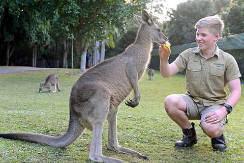 Small-Group Australia Zoo Day Trip From Brisbane - Accommodation Bookings 6