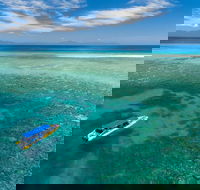 Ocean Safari Great Barrier Reef Experience in Cape Tribulation - Accommodation Bookings