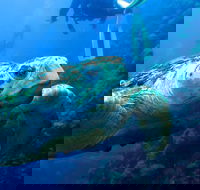 Scuba Dive the S.S. Yongala Wreck on the Great Barrier Reef. - Accommodation Bookings