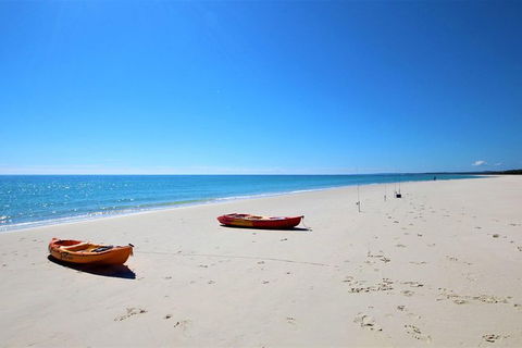Fraser Island West Coast BBQ Lunch Cruise From Hervey Bay Including Kayaking And Swimming - Accommodation Bookings 8