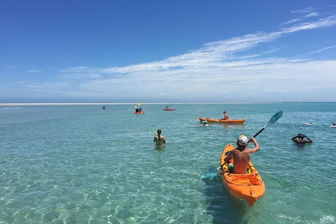 Fraser Island West Coast BBQ Lunch Cruise From Hervey Bay Including Kayaking And Swimming - Accommodation Bookings 9