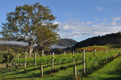 Full Day Mount Tamborine Winery Tour From Gold Coast - Accommodation Bookings 15
