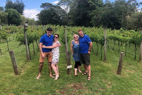 Full Day Mount Tamborine Winery Tour From Gold Coast - Accommodation Bookings 6