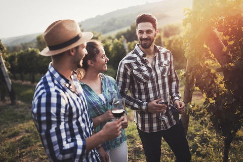 Full Day Mount Tamborine Winery Tour From Gold Coast - Accommodation Bookings 13