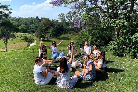 Full Day Mount Tamborine Winery Tour From Gold Coast - Accommodation Bookings 11