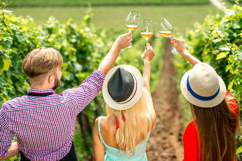 Full Day Mount Tamborine Winery Tour From Gold Coast - Accommodation Bookings 14
