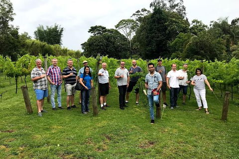 Full Day Mount Tamborine Winery Tour From Gold Coast - Accommodation Bookings 7