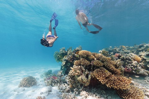 5-Day Fraser Island And Great Barrier Reef Tour - Accommodation Bookings 1