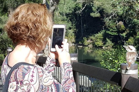 Personalised Private Platypus Land Tour - Accommodation Bookings 1