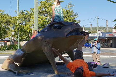 Personalised Private Platypus Land Tour - Accommodation Bookings 5