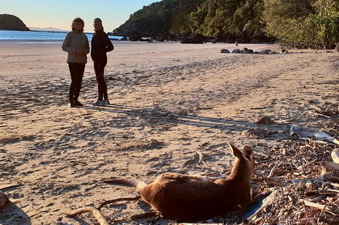 Personalised Private Platypus Land Tour - Accommodation Bookings 10