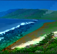 Cairns Reef and Rainforest Combo Daintree Rainforest and the Great Barrier Reef - Accommodation Bookings