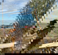 Goolimbil Walkabout Indigenous Experience in the Town of 1770 - Accommodation Bookings