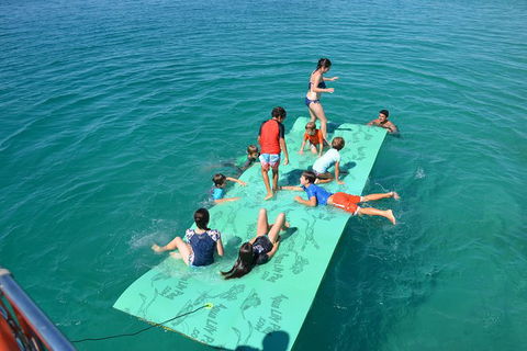 Fraser Island & Dolphin Sailing Adventure - Accommodation Bookings 6