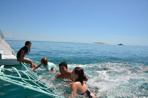 Fraser Island & Dolphin Sailing Adventure - Accommodation Bookings 9