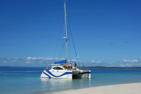 Fraser Island & Dolphin Sailing Adventure - Accommodation Bookings 7