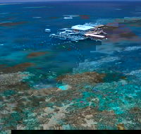 Quicksilver Outer Great Barrier Reef Snorkel Cruise from Port Douglas - Accommodation Bookings