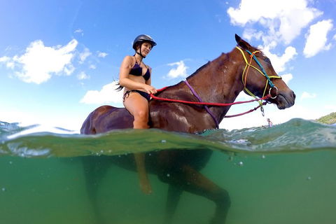 Horse Swimming Ride From Rainbow Beach - Accommodation Bookings 1