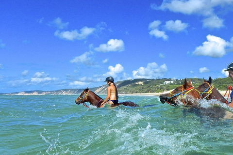 Horse Swimming Ride From Rainbow Beach - Accommodation Bookings 0