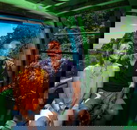 Skyrail Rainforest Cableway Day Trip from Palm Cove - Accommodation Bookings
