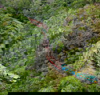 Kuranda Scenic Railway Day Trip from Port Douglas - Accommodation Bookings
