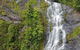Kuranda Full-Day Small-Group Tour From Port Douglas - thumb 4