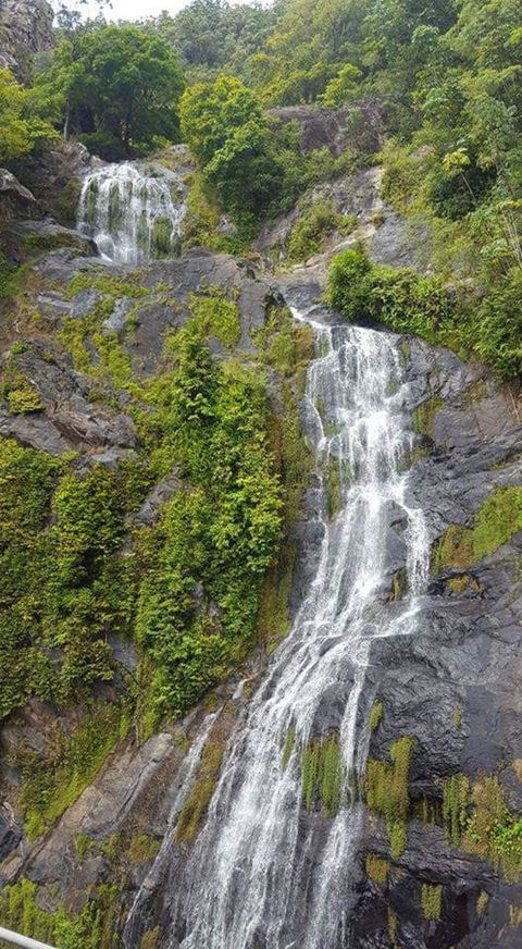 Kuranda Full-Day Small-Group Tour From Port Douglas - Accommodation Bookings 4