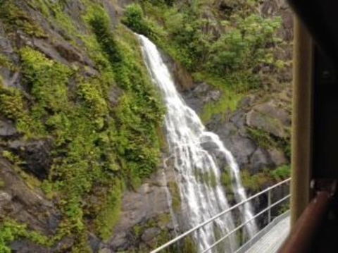 Kuranda Full-Day Small-Group Tour From Port Douglas - Accommodation Bookings 7