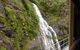 Kuranda Full-Day Small-Group Tour From Port Douglas - thumb 5