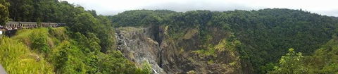 Kuranda Full-Day Small-Group Tour From Port Douglas - Accommodation Bookings 3