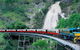 Kuranda Full-Day Small-Group Tour From Port Douglas - thumb 1