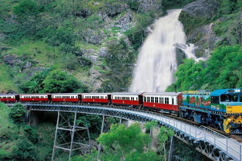 Kuranda Full-Day Small-Group Tour From Port Douglas - Accommodation Bookings 1
