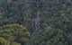 Kuranda Full-Day Small-Group Tour From Port Douglas - thumb 9