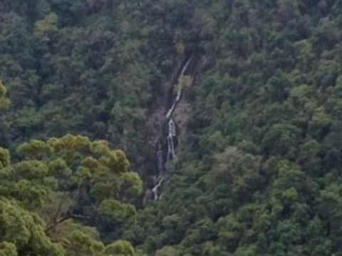 Kuranda Full-Day Small-Group Tour From Port Douglas - Accommodation Bookings 9