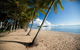 Kuranda Full-Day Small-Group Tour From Port Douglas - thumb 17